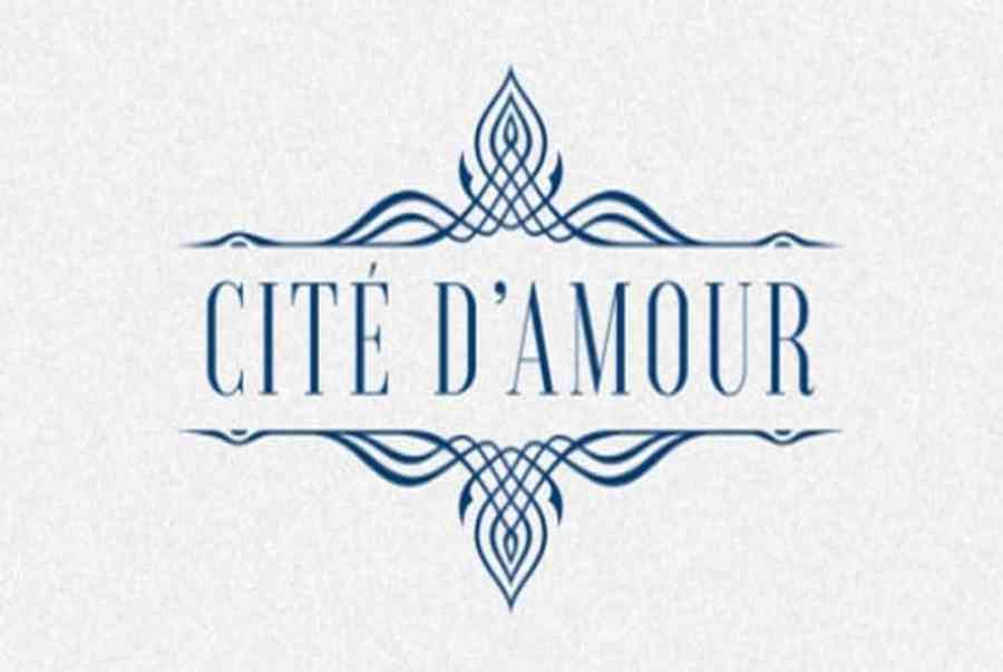 Logo du an Cite Damour