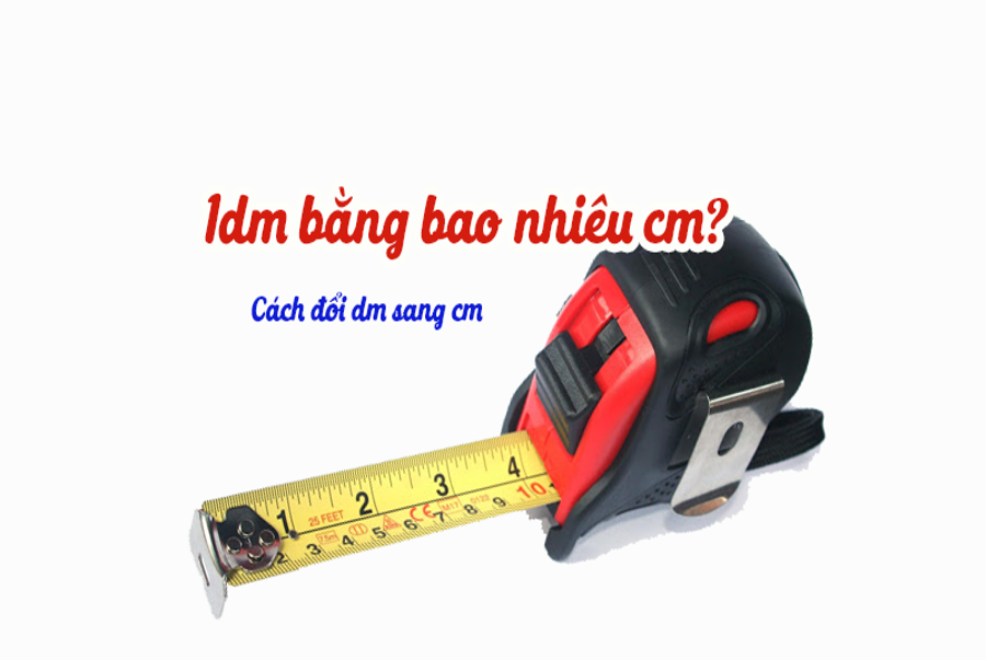 1dm bằng bao nhiêu cm, cách đổi dm sang cm Online - Cửu Long Real