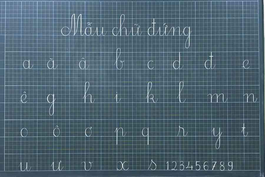 Bảng chữ cái tiếng việt có bao nhiêu chữ cái, ký tự - Cửu Long Real